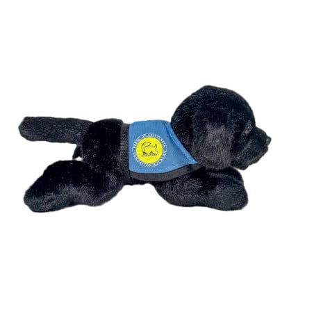 Peluche Labrador Negro 21 Cm
