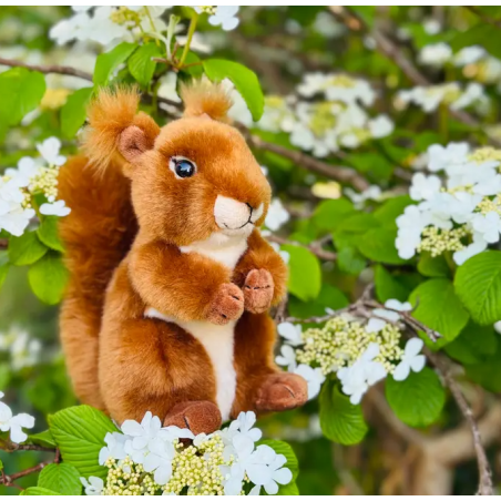 Peluche Ardilla 17 Cm