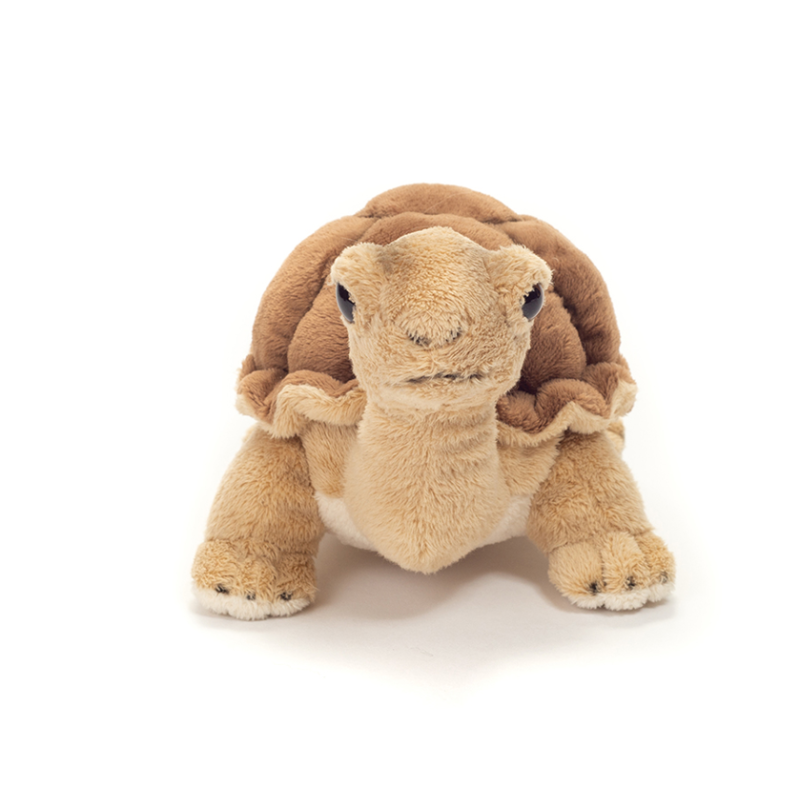 Peluche Tortuga De Tierra 20 Cm