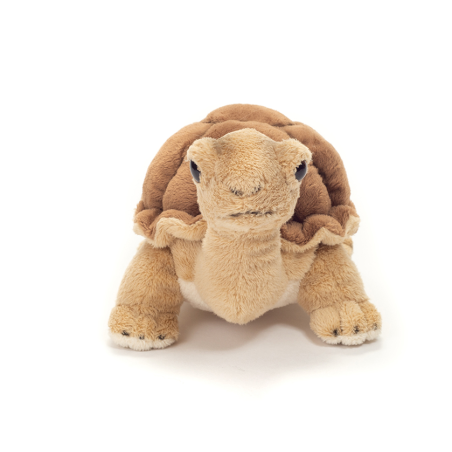 Peluche Tortuga De Tierra 20 Cm