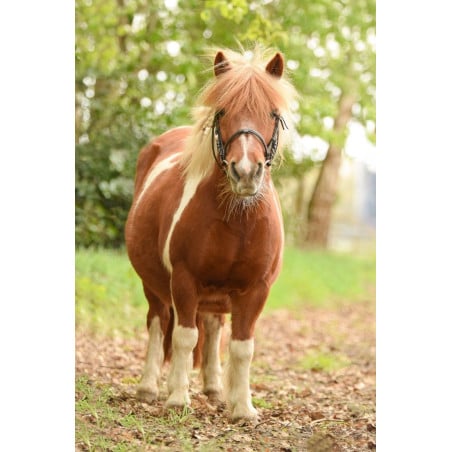 Peluche Poni Shetland 25 Cm