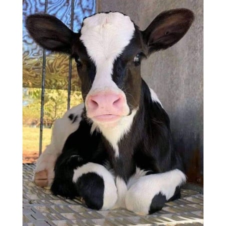 Peluche Vaca Smilla 25 Cm