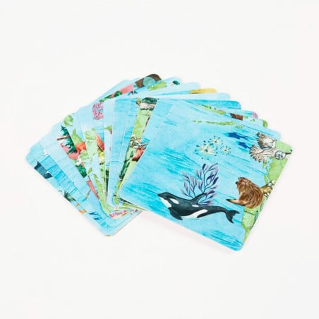 Imanix Speedy Eye 28 Piezas