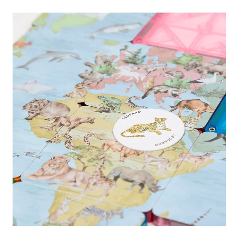 Imanix Speedy Eye 28 Piezas