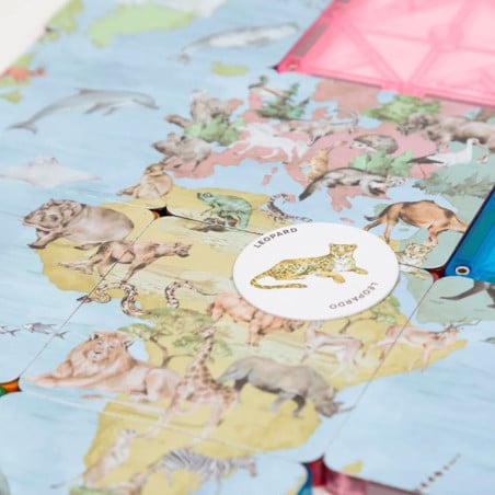 Imanix Speedy Eye 28 Piezas