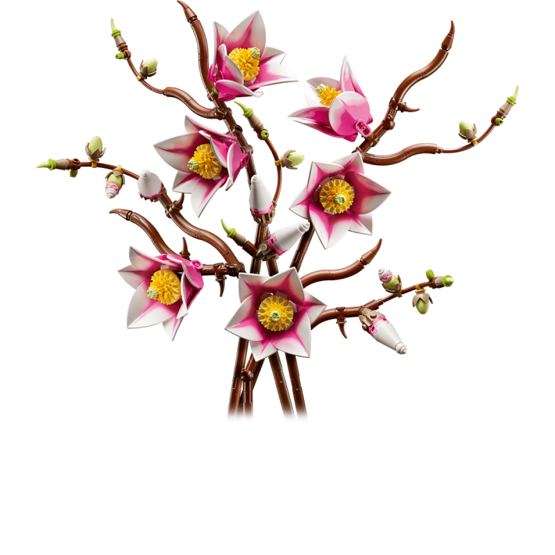 LEGO Botanicals Rama De Magnolias 11510