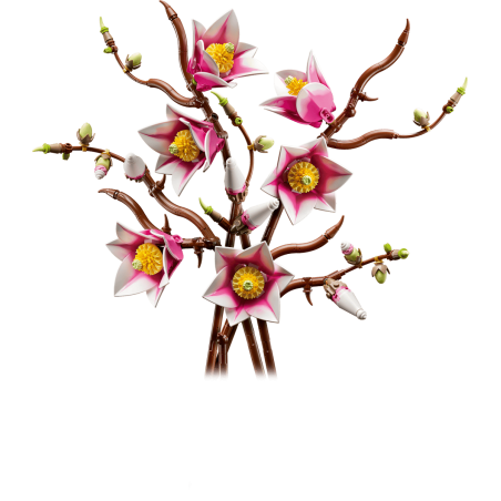 LEGO Botanicals Rama De Magnolias 11510