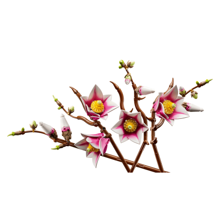 LEGO Botanicals Rama De Magnolias 11510