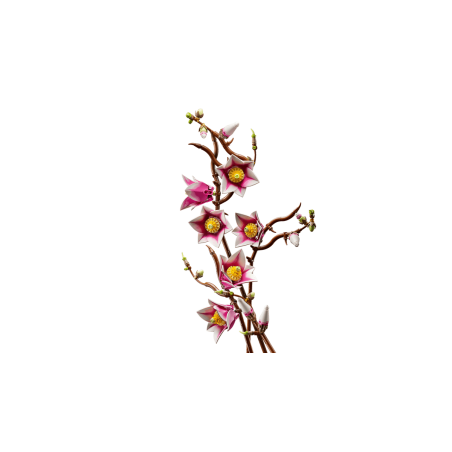 LEGO Botanicals Rama De Magnolias 11510