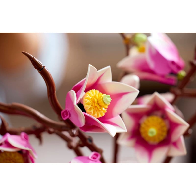 LEGO Botanicals Rama De Magnolias 11510