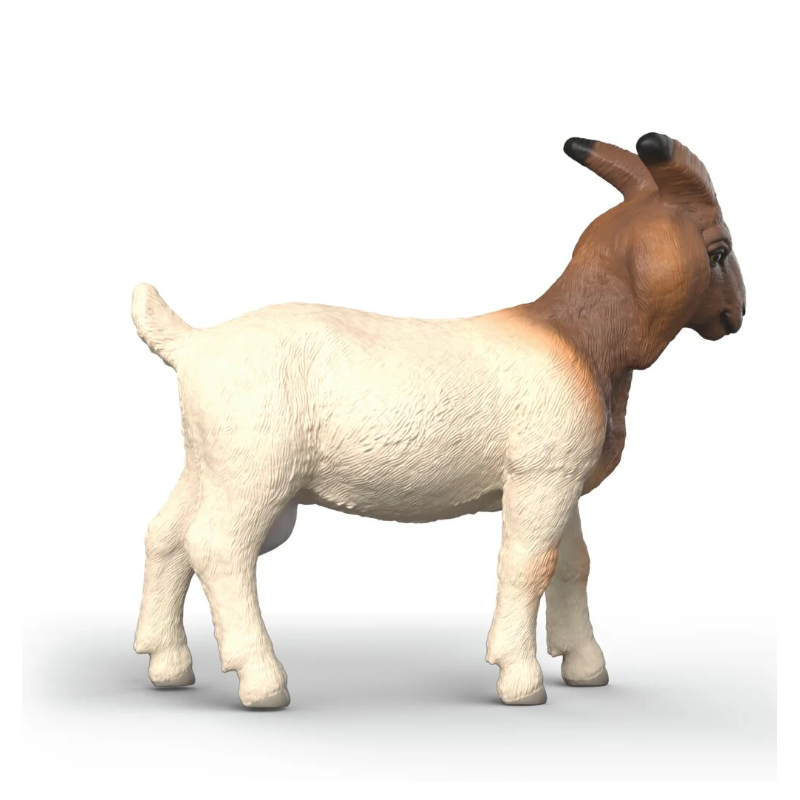 Schleich Cabra Boer