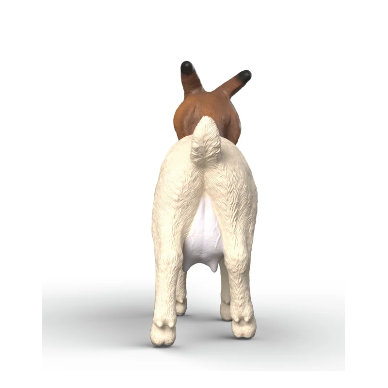 Schleich Cabra Boer