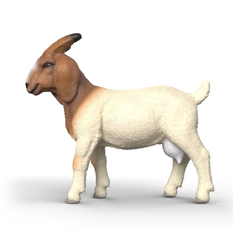 Schleich Cabra Boer