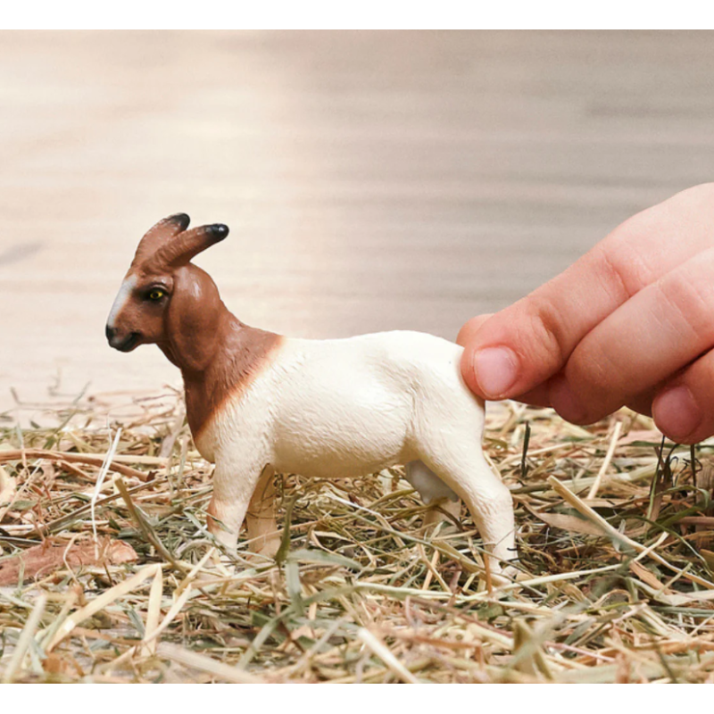 Schleich Cabra Boer