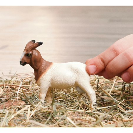 Schleich Cabra Boer