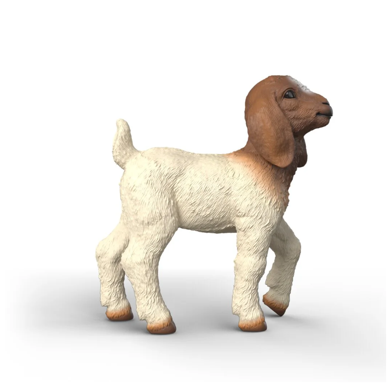 Schleich Cabritillo Boer