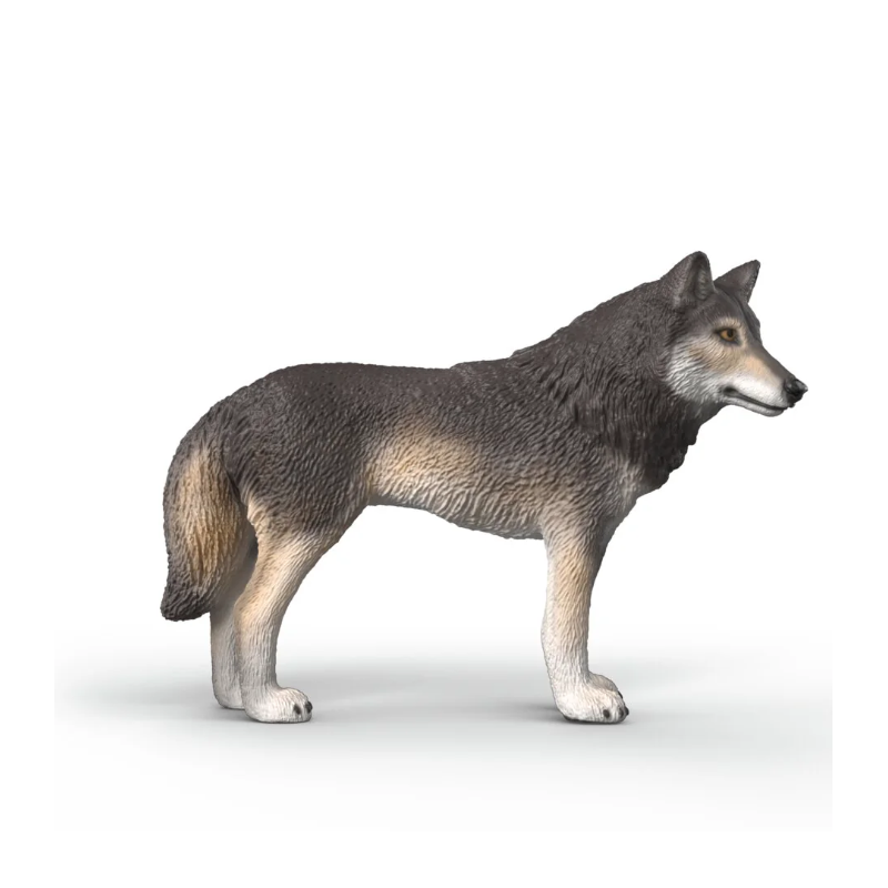 Schleich Lobo Americano