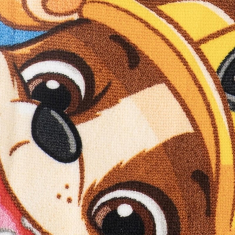 Toalla Set Gafas De Natacion Patrulla Ca