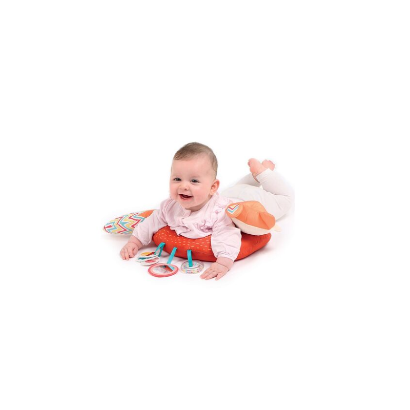 Ludi Cojín Actividades Zorro