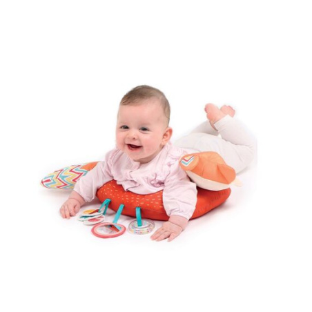 Ludi Cojín Actividades Zorro