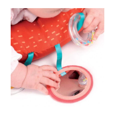 Ludi Cojín Actividades Zorro