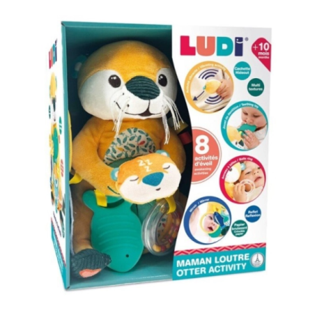 Ludi Conjunto Actividades Nutria