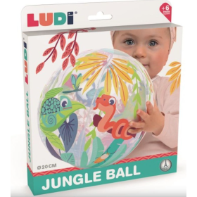 Ludi Pelota Jungla