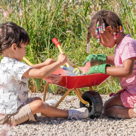 Carretilla Metal Con Accesorios