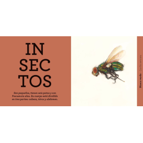 Animales De Logistica Libros 2