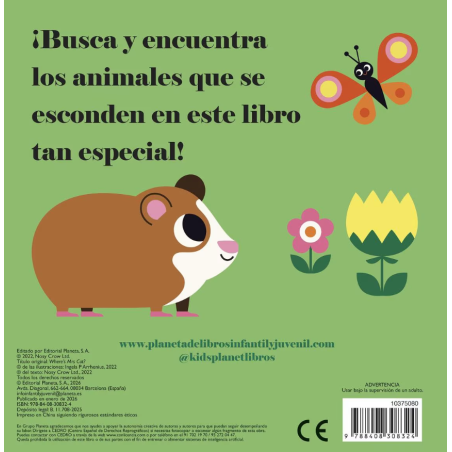 ¿Dónde Está La Señora Gatita?