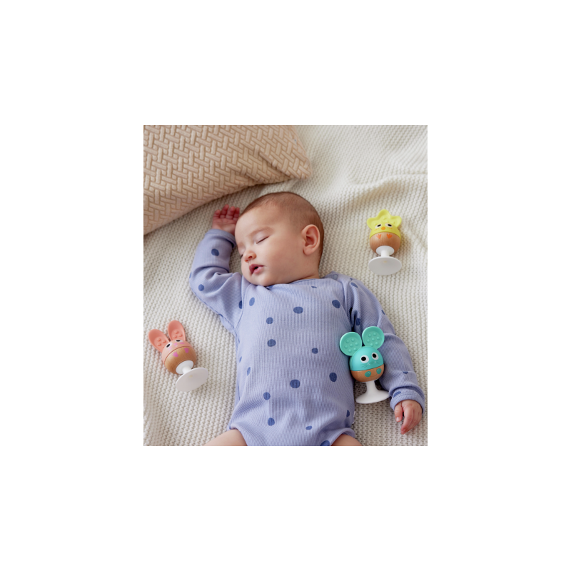 Set Sonajero Y Mordedor Adhesivos