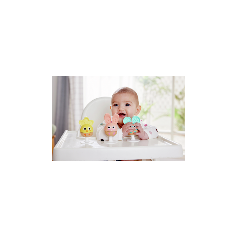 Set Sonajero Y Mordedor Adhesivos