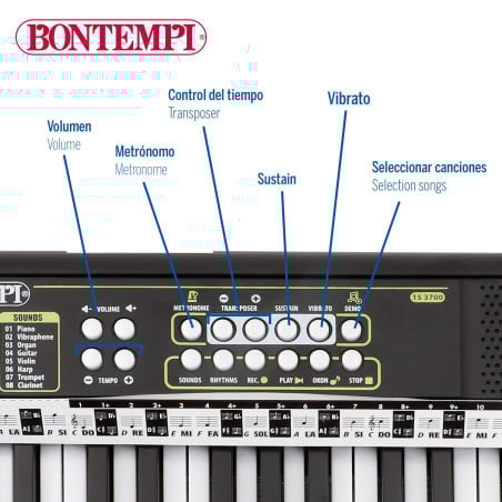 Organo Electronico 37 Teclas
