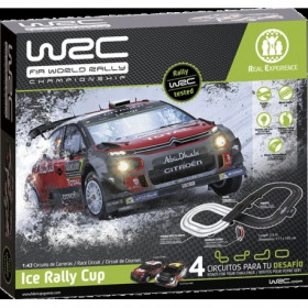 WRC ICE RALLY CUP
