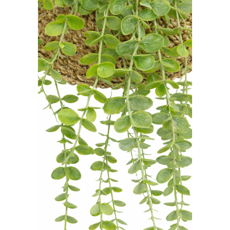 Planta Artificial Colgante Zea