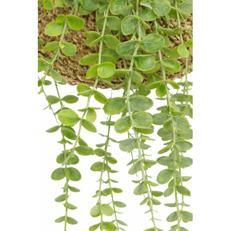 Planta Artificial Colgante Zea