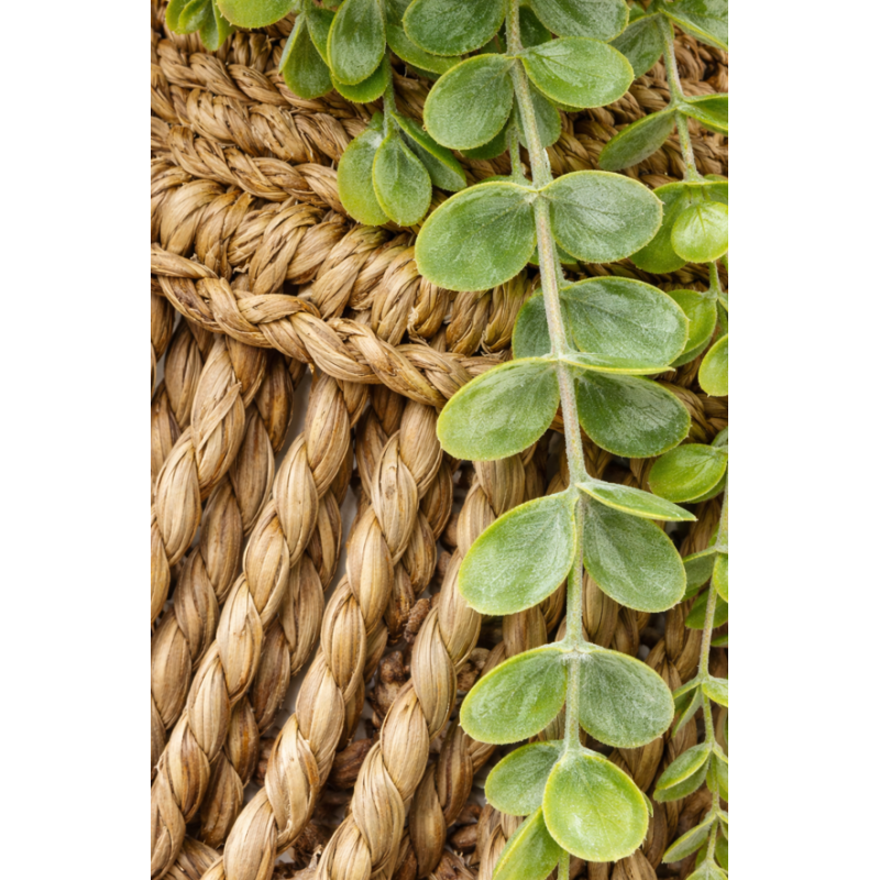 Planta Artificial Colgante Zea