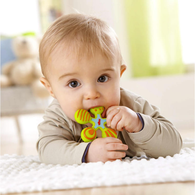 Haba Mordedor Estrella