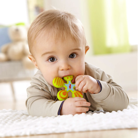 Haba Mordedor Estrella