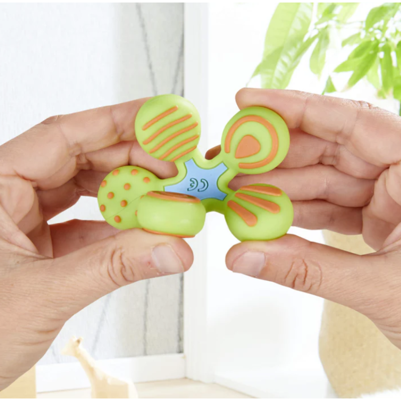 Haba Mordedor Estrella