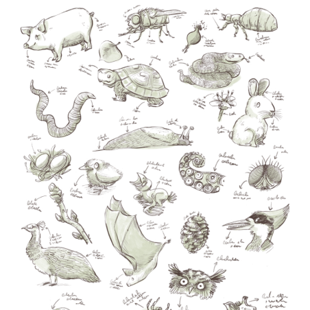 Bichos: La Vida Secreta De Los Animales