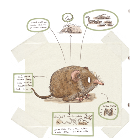 Bichos: La Vida Secreta De Los Animales