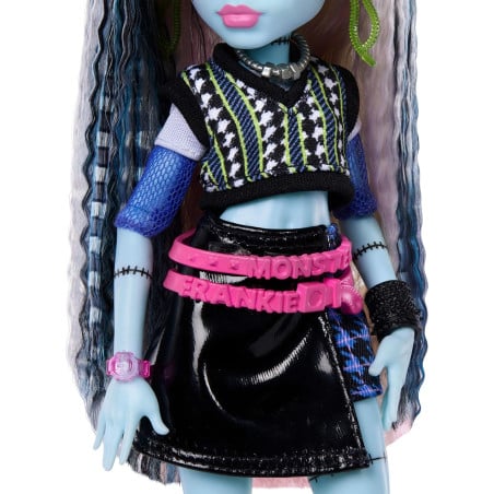 Monster High Frankie Stein Y 7 Accesorios
