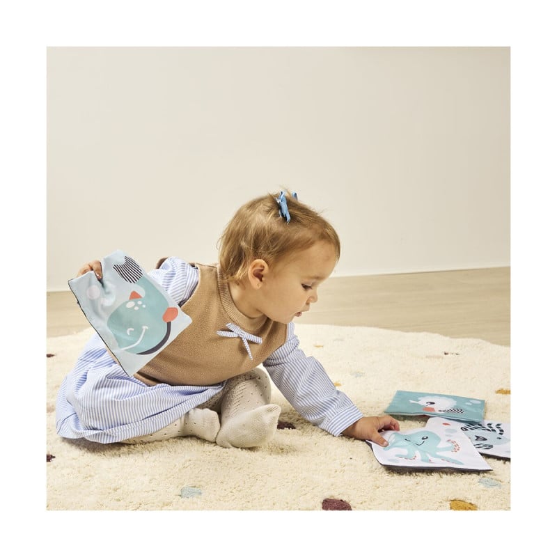 Miniland Set De Tarjetas Marinas