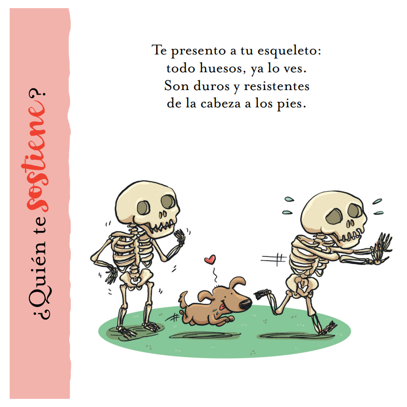 El Cuerpo Humano (Curiosidades En Verso)