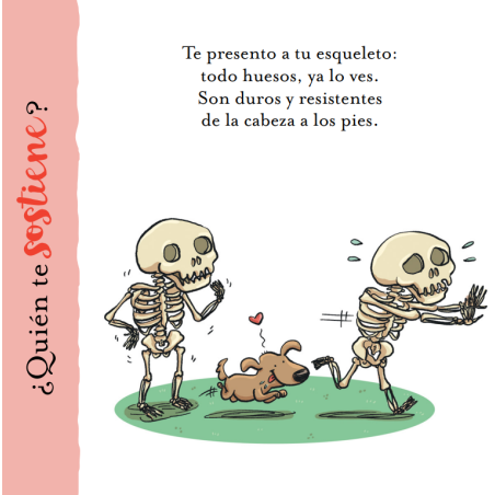 El Cuerpo Humano (Curiosidades En Verso)