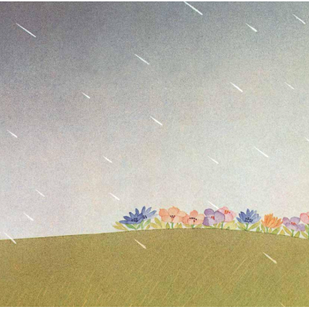 Un Día De Lluvia Y Flores