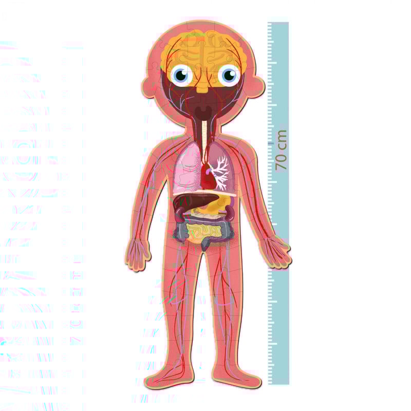 Apli Puzzle Cuerpo Humano