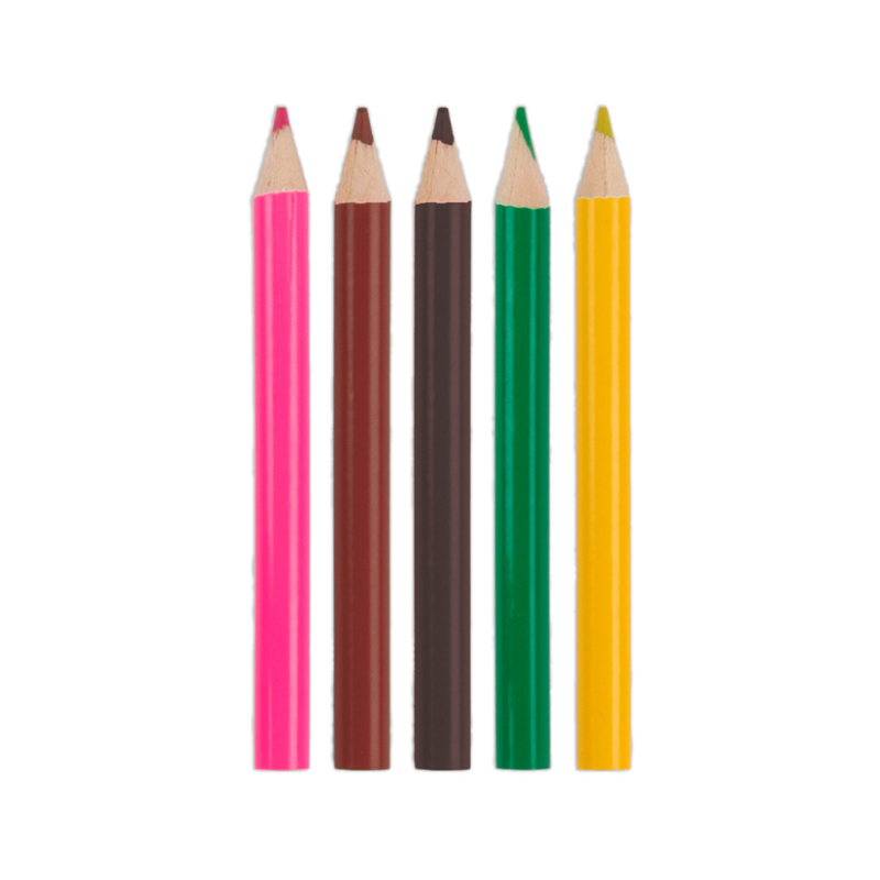 Apli Bloc Colorear Animales 20 Hojas