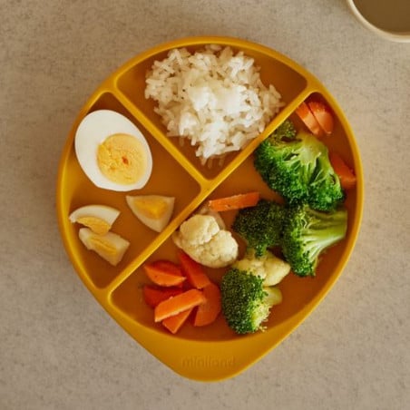 Miniland Vajilla Silicona 4 Piezas